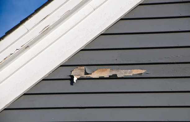 Best Residential Junk Removal  in Menifee, CA